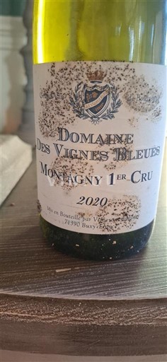 Bourgogne Ospecificerad Premier Cru Domaine S Vignes Bleues 2020