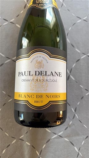 Borgogna Crémant di Borgogna Paul Delane Blanc de Noirs Senza annata