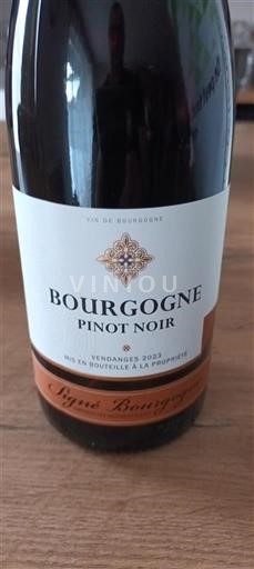 Burgundia Signé Bourgogne 2023