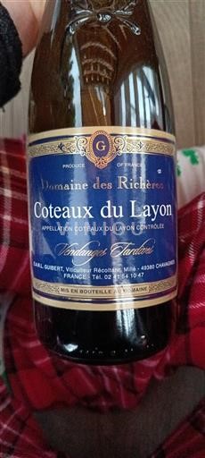 Vale do Loire Coteaux-du-layon Domaine S Richères Vendanges Tardives Não Sazonado