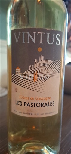 Southwest Côtes de Gascogne Vintus Les Pastorales 2021