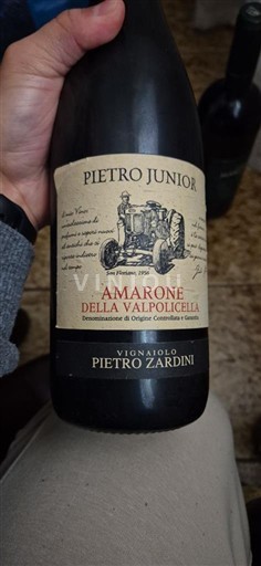 Vénétie Amarone della Valpolicella Vignaiolo Pietro Zardini Pietro Junior 2016