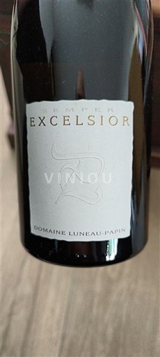 Loirevallei Muscadet-Sèvre-et-Maine Domaine Luneau-Papin Semper Excelsior 2020