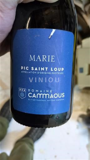 Langvedok Pic-saint-loup Domaine Cammaous Marie Neleten.