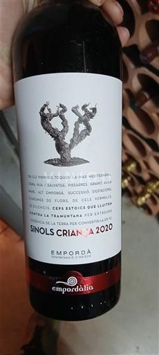 Catalonia Empordà Empordàlia Sinols Criança 2020