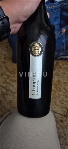 Campania Falanghina del Sannio Cantina di Solopaca 2018