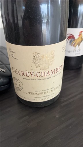 Borgogna Gevrey-Chambertin L. Tramier & Fils 2006