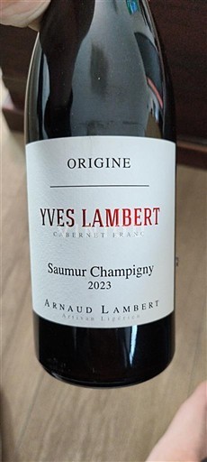 Dolina Loare Saumur-champigny Arnaud Lambert Origine 2023