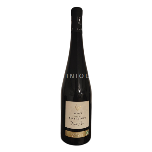 Alsacia Pinot noir Laurent Vogt Oberstupp Lieu-dit 2022