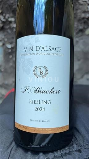 Alsacia P. Bruckert 2024