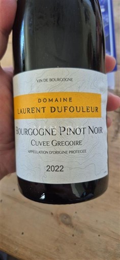 Burgundsko Domaine Laurent Dufouleur Gregoire 2022