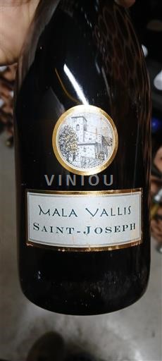 Rhônen laakso Saint-Joseph Mala Vallis 2020
