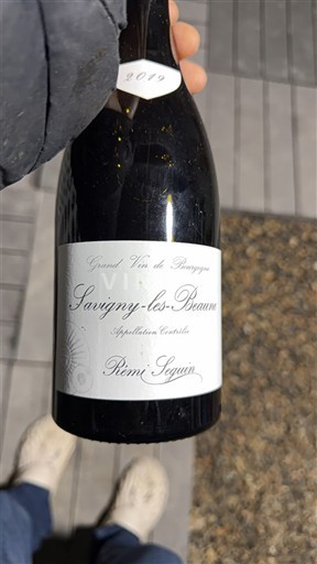 Burgund Savigny-lès-Beaune Rémi Seguin 2019