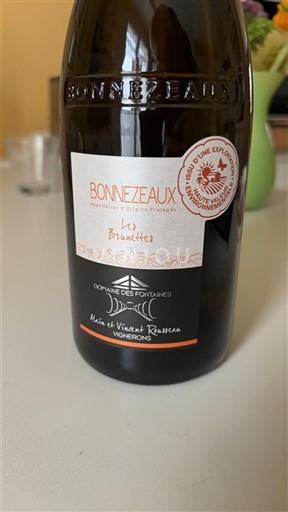 Vale do Loire Bonnezeaux Domaine S Fontaines Les Bruyettes 2022