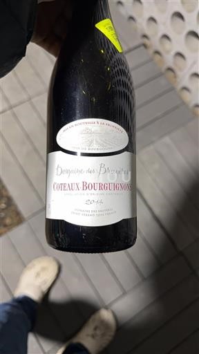 Borgoña Coteaux de Borgoña Domaine S Bruyères 2014