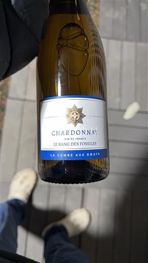 Loiredalen Ospecificerad La Combe aux Bœufs Le Rang des Fossiles Icke årgångsbetecknad