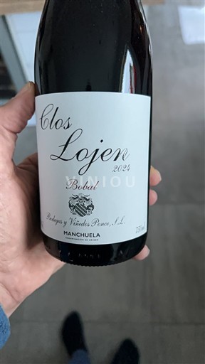 Castilla-La Mancha Manchuela Bodegas y Viñedos Ponce Clos Lojen 2024