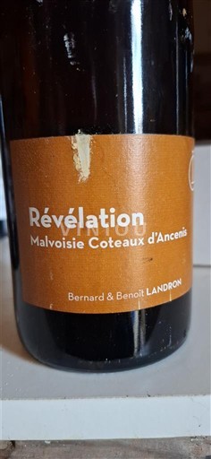 Vallée de la Loire Coteaux-d'ancenis Bernard & Benoît Landron Révélation 2017