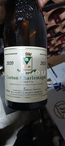 Bourgogne Corton-charlemagne Grand Cru Maison Ambroise 2020