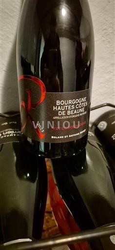 Burgundija Hautes Côtes de Beaune Roland et Antoine Rigot 2023