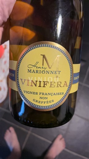 Valle del Loira Touraine Henry Marionnet Vinifera 2022