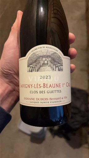 Burgund Savigny-lès-Beaune Premier Cru Domaine Bois Bernard & Fils Clos des Guettes 2023
