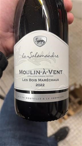 Beaujolais Moulin-à-vent La Salamandre Les Bois Maréchaux 2022