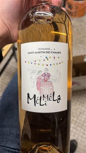 Linguadoca e Rossiglione Paese d'Oc Domaine Saint-Martin des Champs Méli Mélo Senza annata