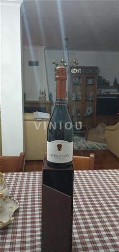 Portugal Bairrada Caves São João 2018