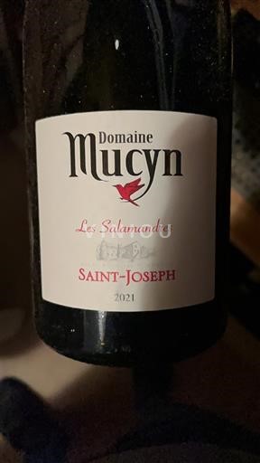 Rhônen laakso Saint-Joseph Domaine Mucyn Les Salamandres 2021