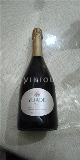 Bordeaux Crémant di Bordeaux Yliade Senza annata