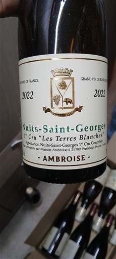 Borgoña No especificado Premier Cru Ambroise Les Terres Blanches 2022