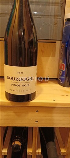 Burgundsko Domaine Prunier 2021