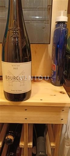 Loiredalen Bourgueil Domaine L'Oubliée Rouge de Tuffe 2022