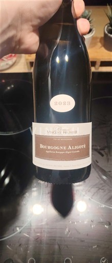 Bourgogne Bourgogne Aligoté Vincent Prunier 2023
