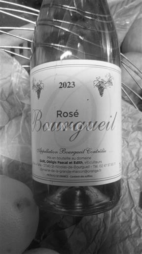 Loiredalen Bourgueil EARL Origine Pascal et Edith 2023