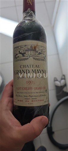 Bordeaux Saint-Émilion Grand Cru Grand Cru Château Grand Mayne 1995