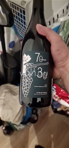 Valle del Loira Saint-Nicolas-De-Bourgueil Le Clos des Quarterons 70 Cabernet 30 Q 2023