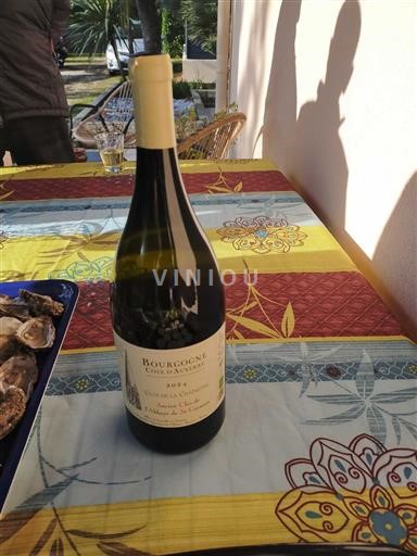 Borgogna Borgogna Côtes d'Auxerre Domaine A. Chopin & Fils Clos de la Chapelle 2021