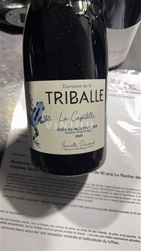 Langvedok Grès de Montpellier Domaine La Triballe La Capitelle 2020