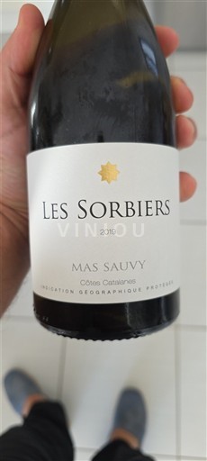 Linguadoca e Rossiglione Côtes catalanes Mas Sauvy Les Sorbiers 2019