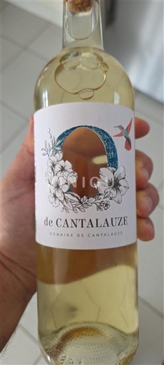 Südwestfrankreich Domaine Cantaluze Ohne Jahrgang