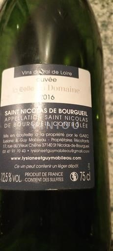 Valle del Loira Saint-Nicolas-De-Bourgueil Domaine Guy Mabileau La Belle du Domaine 2016