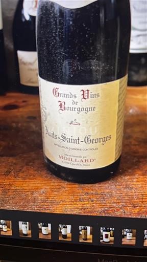 Burgundy Nuits-Saint-Georges Moillard 2013
