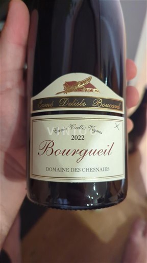 Loiredalen Bourgueil Domaine S Chesnaies Vieilles Vignes 2022