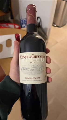 Bordeaux Pessac-Léognan Domaine Chevalier L'Esprit de Chevalier 2017