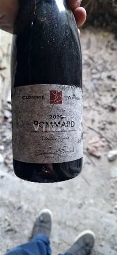 Borgoña Pommard Closerie des Alisiers Vieilles Vignes 2020