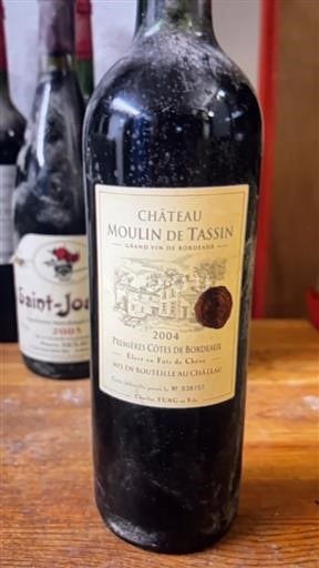 Burdeos Primeras Colinas de Burdeos Château Moulin de Tassin 2004