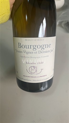Burgundsko Guffens-Heynen Jeunes Vignes et Derniers Jus 2020