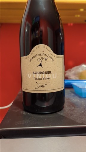 Loiredalen Bourgueil Domaine S Vallettes Vieilles Vignes Icke årgångsbetecknad